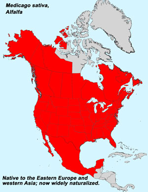 North America species range map for Alfalfa, Medicago sativa:
